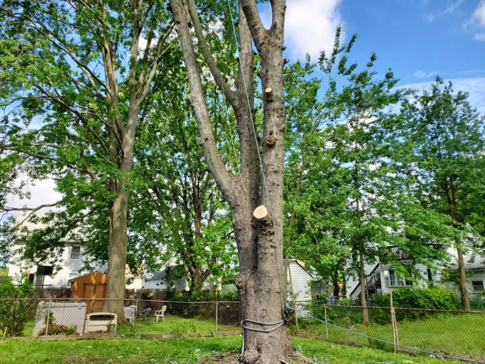 Top-rated lawn mowing service in Brick, NJ - Raptors Tree Service & Landscaping