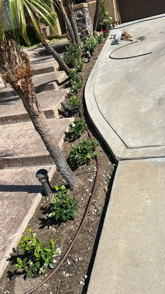 Affordable residential landscaping for year-round maintenance in Vista, CA by Raqz Landscaping