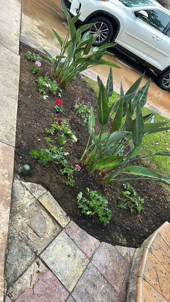 Expert residential landscaping experts serving Vista, CA - Raqz Landscaping