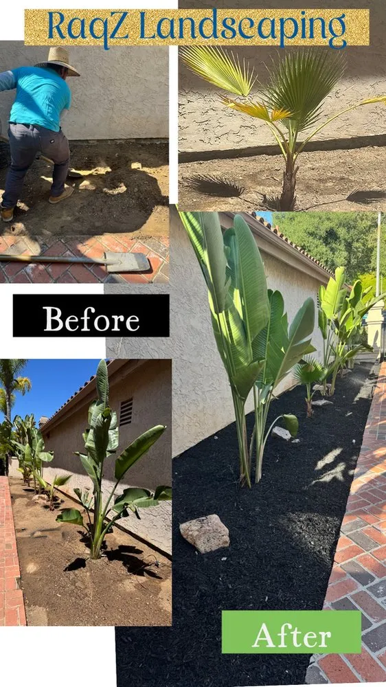 Affordable landscaping services in Vista, CA by Raqz Landscaping