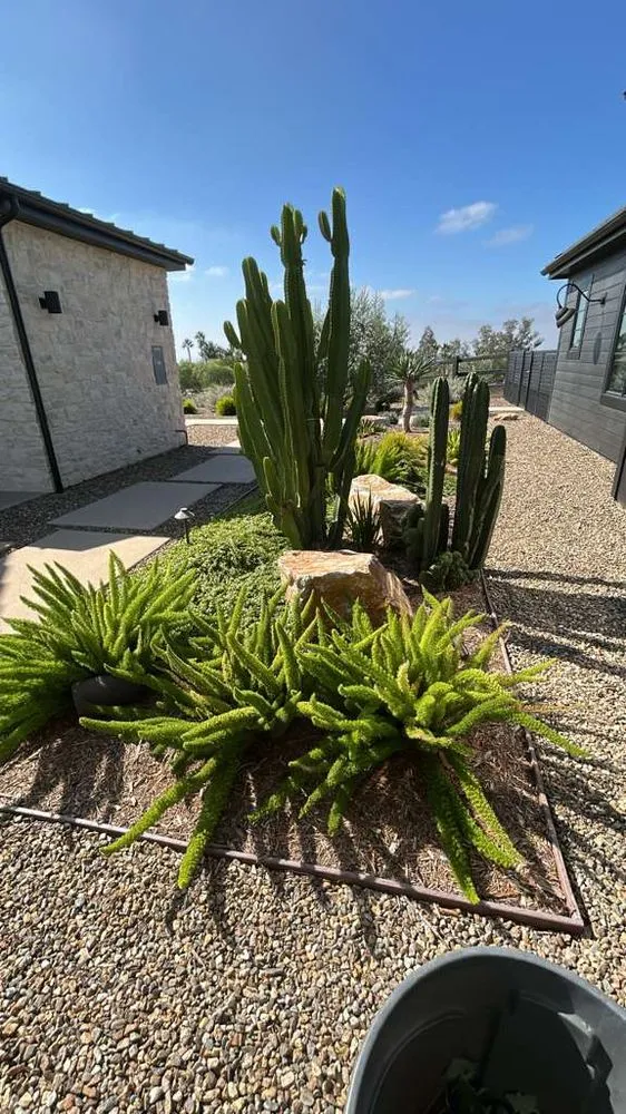 Professional residential landscaping experts serving Vista, CA - Raqz Landscaping