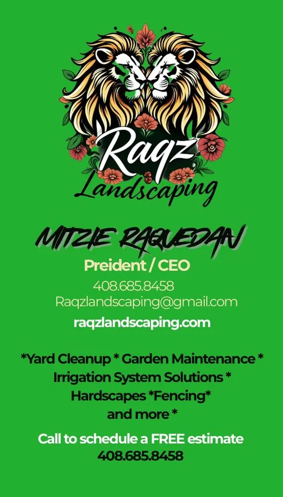Trusted yard cleanup service experts serving Vista, CA - Raqz Landscaping