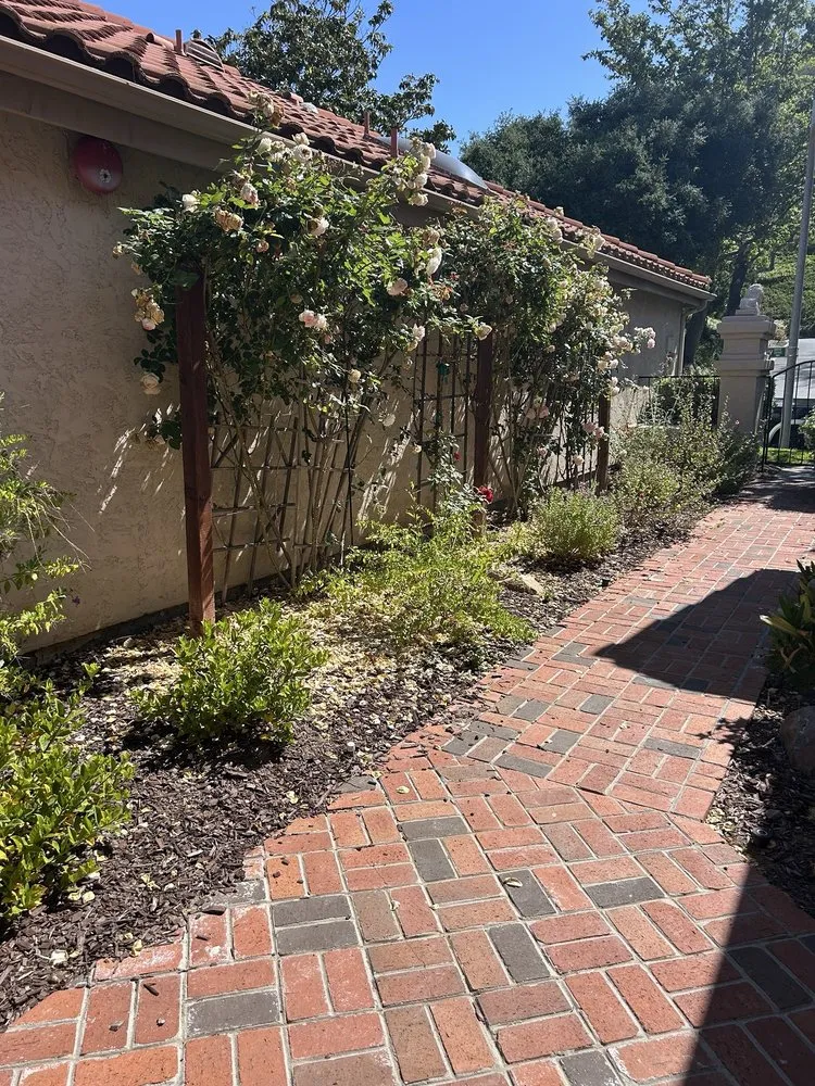Trusted yard cleanup service for residential properties in Vista, CA by Raqz Landscaping