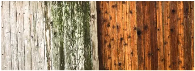 Professional yard maintenance for beautiful yards in Round Rock, TX by RAR Services Group