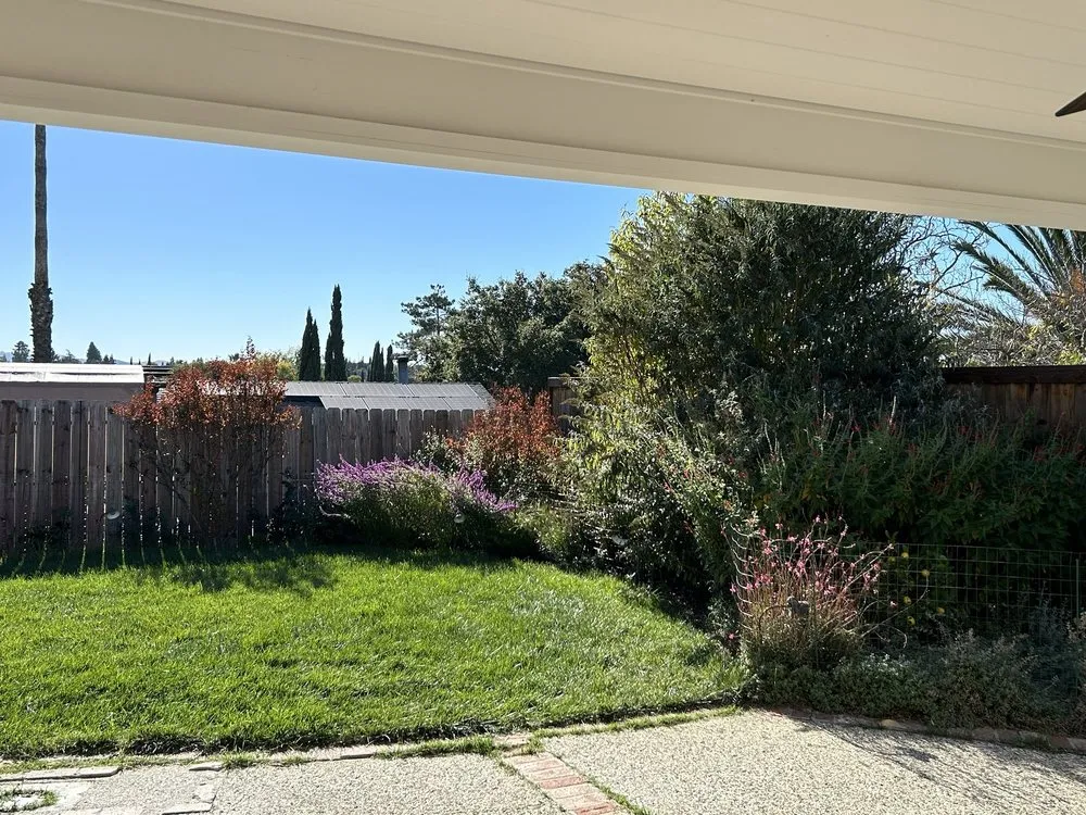 Expert yard cleanup service for residential properties across Lafayette, CA - Rare Earth Landscape, Inc