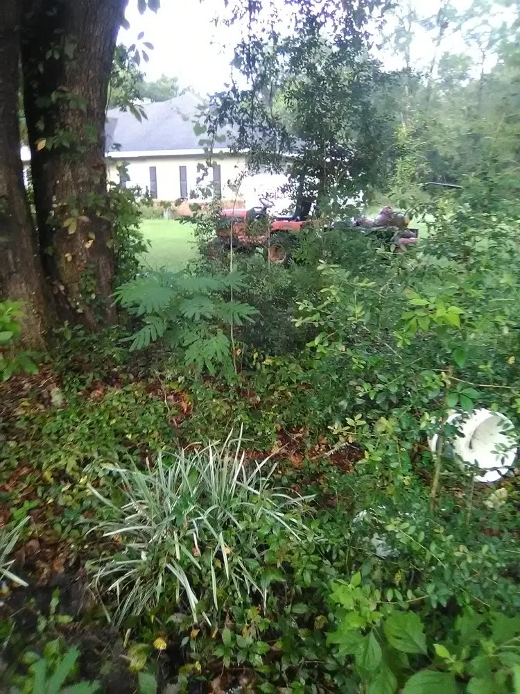 Affordable landscape installation for beautiful yards in Tallahassee, FL by Rare Earth Lawn Care