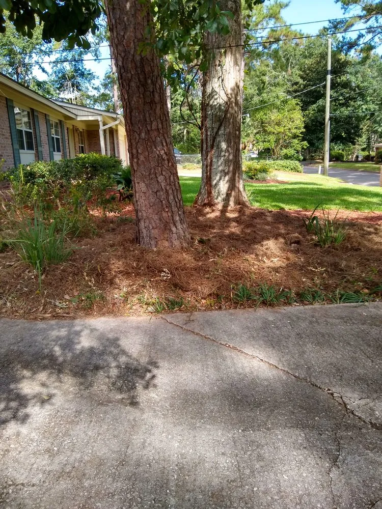 Local residential landscaping in Tallahassee, FL - Rare Earth Lawn Care