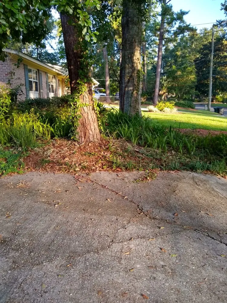 Custom landscape design in Tallahassee, FL - Rare Earth Lawn Care