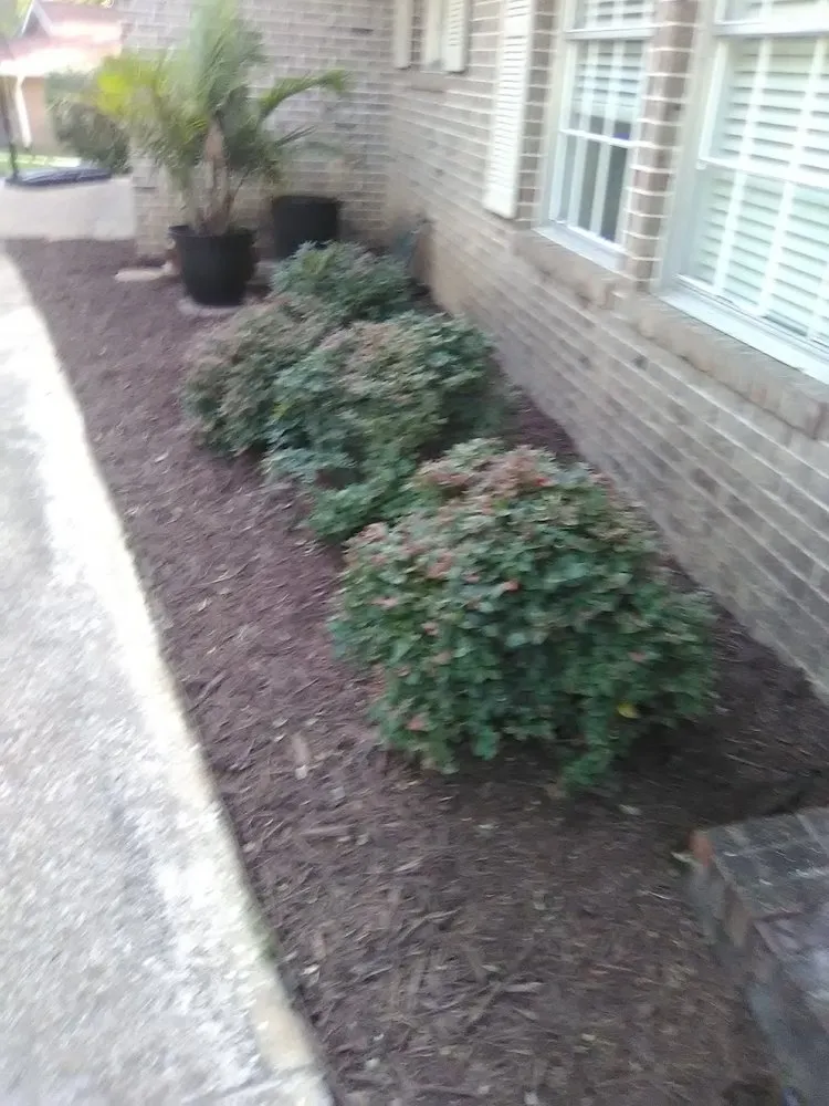 Custom lawn mowing service in Tallahassee, FL by Rare Earth Lawn Care