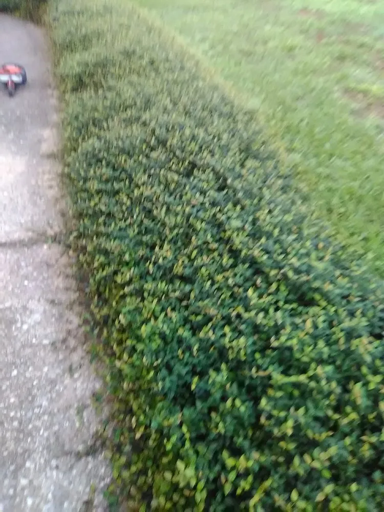 Top-rated garden landscaping experts serving Tallahassee, FL - Rare Earth Lawn Care