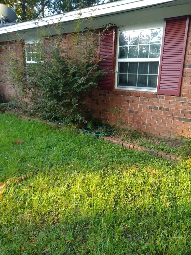 Expert landscaping services for outdoor upgrades in Tallahassee, FL by Rare Earth Lawn Care