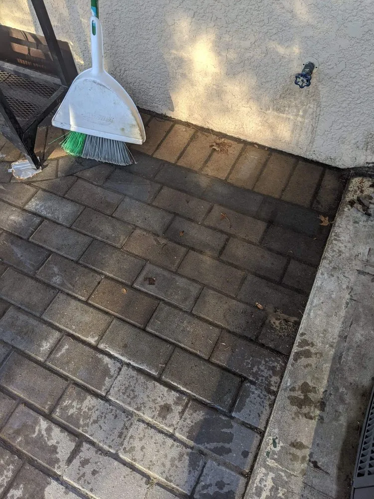 Expert yard maintenance in Mound, MN - Rare Landscapes