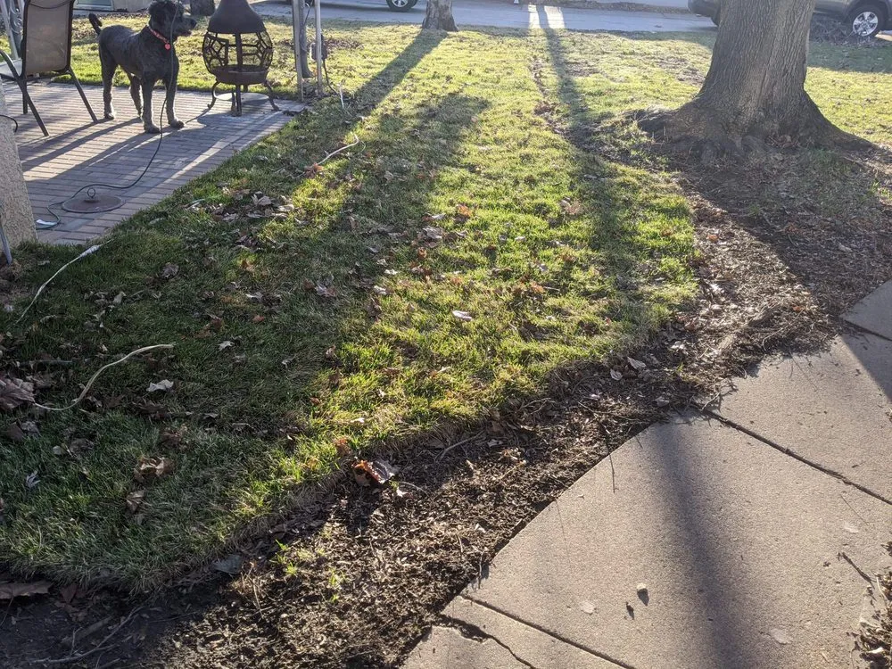 Local garden landscaping in Mound, MN - Rare Landscapes