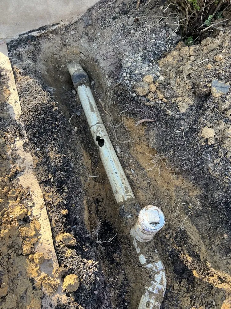 Affordable yard cleanup service experts serving Pine Hill, NJ - RAS Services And Construction