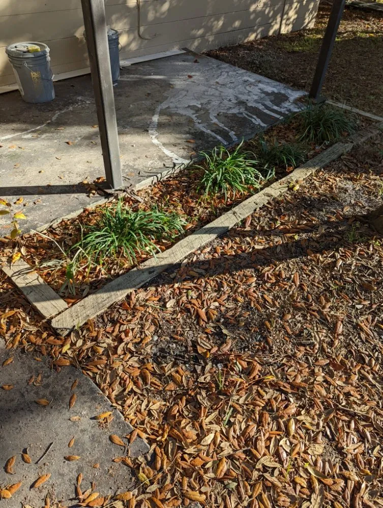 Expert lawn mowing service for year-round maintenance in Tampa, FL by Rasbot Lawn Care Services