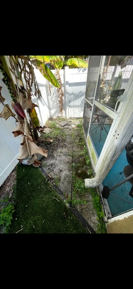 Top-rated lawn care service near you in Tampa, FL by Rasbot Lawn Care Services