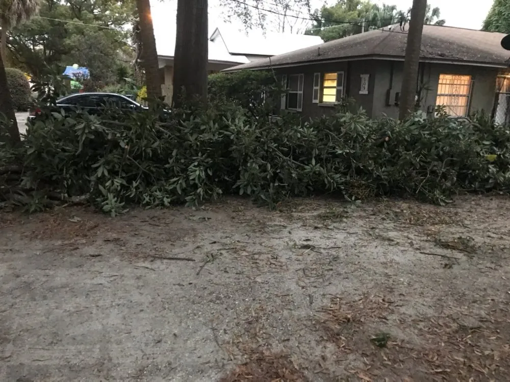 Local landscape installation in Tampa, FL by Rasbot Lawn Care Services