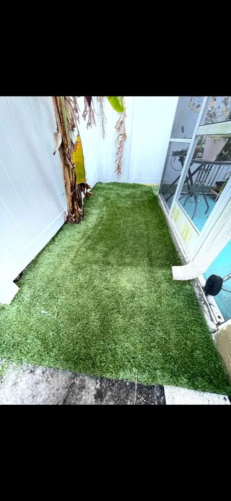 Affordable yard cleanup service for residential properties across Tampa, FL - Rasbot Lawn Care Services