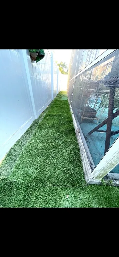 Professional yard maintenance in Tampa, FL by Rasbot Lawn Care Services