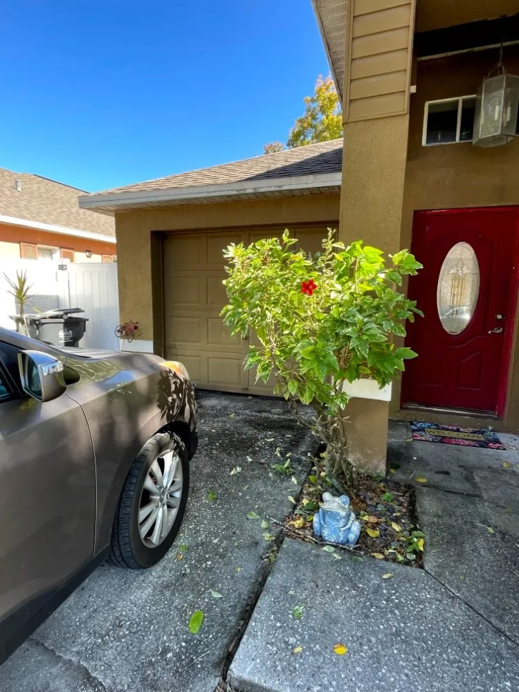 Affordable landscaping services experts serving Tampa, FL - Rasbot Lawn Care Services