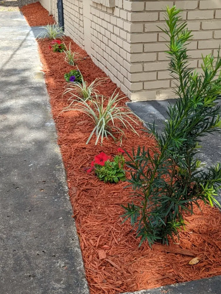 Trusted yard maintenance for residential properties in Tampa, FL by Rasbot Lawn Care Services