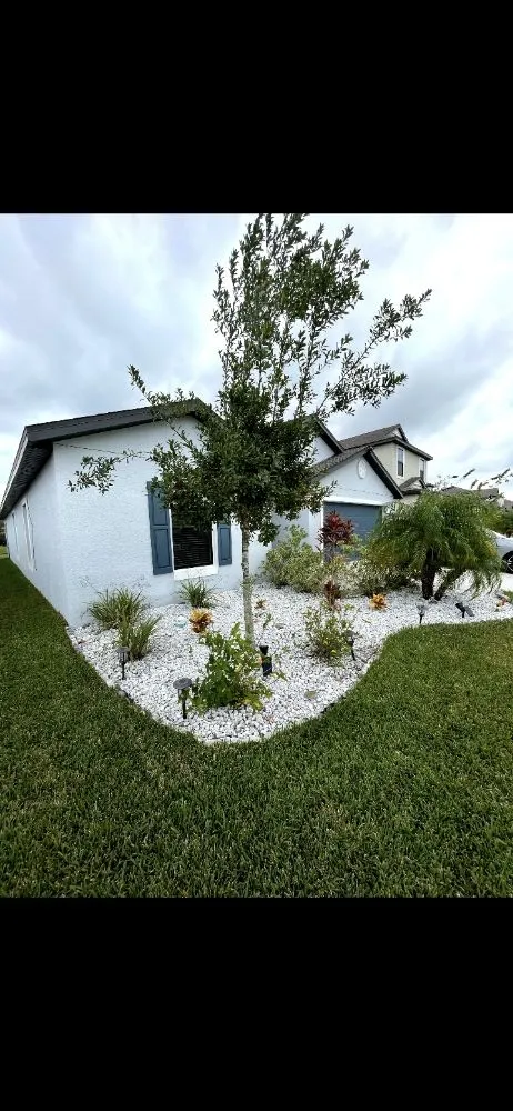 Affordable lawn mowing service for outdoor upgrades across Tampa, FL - Rasbot Lawn Care Services