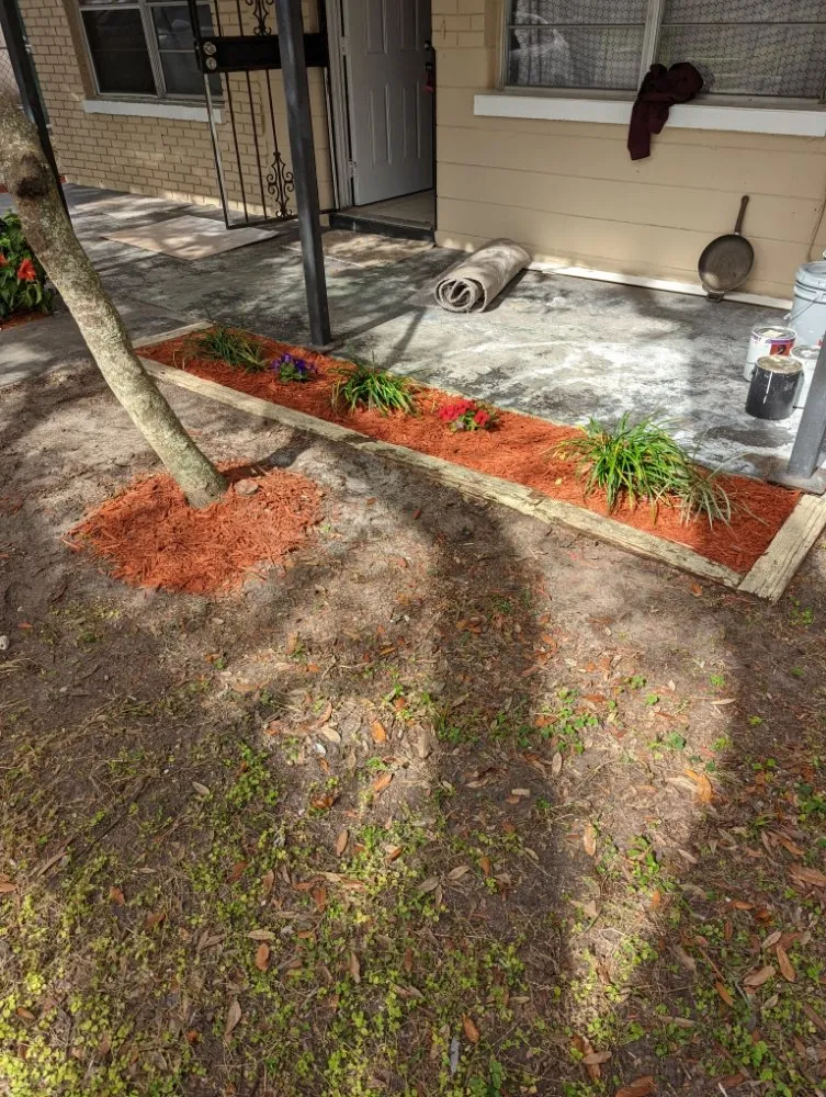 Expert landscaping services in Tampa, FL - Rasbot Lawn Care Services