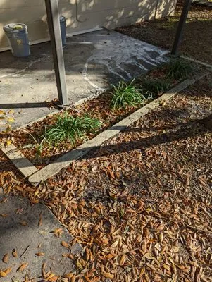 Rasbot Lawn Care Services Logo