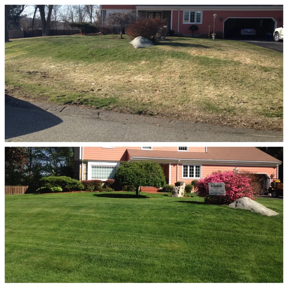 Professional yard maintenance in Lexington, MA - Rashidi Property Services