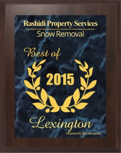 Top-rated landscaping services in Lexington, MA - Rashidi Property Services