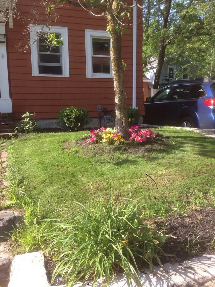 Affordable yard cleanup service in Lexington, MA - Rashidi Property Services