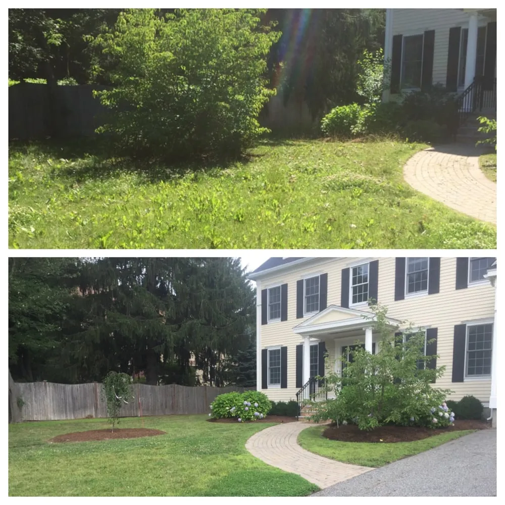 Expert residential landscaping for year-round maintenance across Lexington, MA - Rashidi Property Services