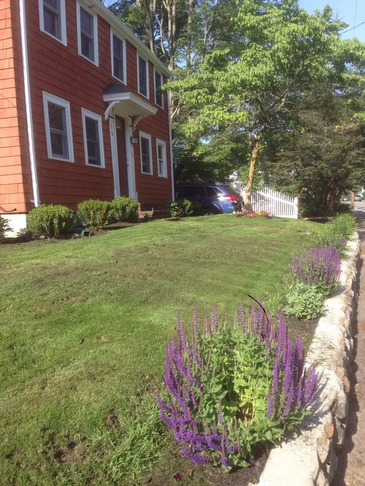 Professional yard cleanup service for year-round maintenance across Lexington, MA - Rashidi Property Services