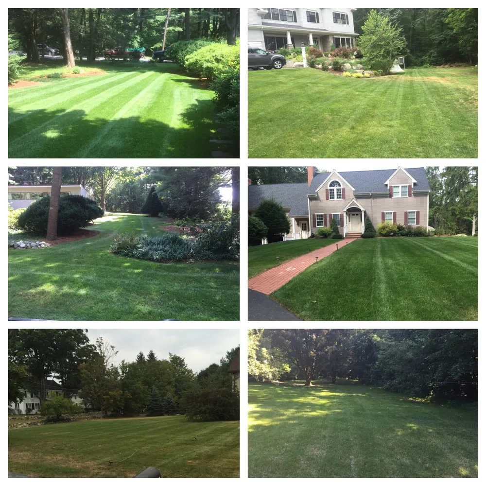 Expert yard maintenance for year-round maintenance in Lexington, MA by Rashidi Property Services