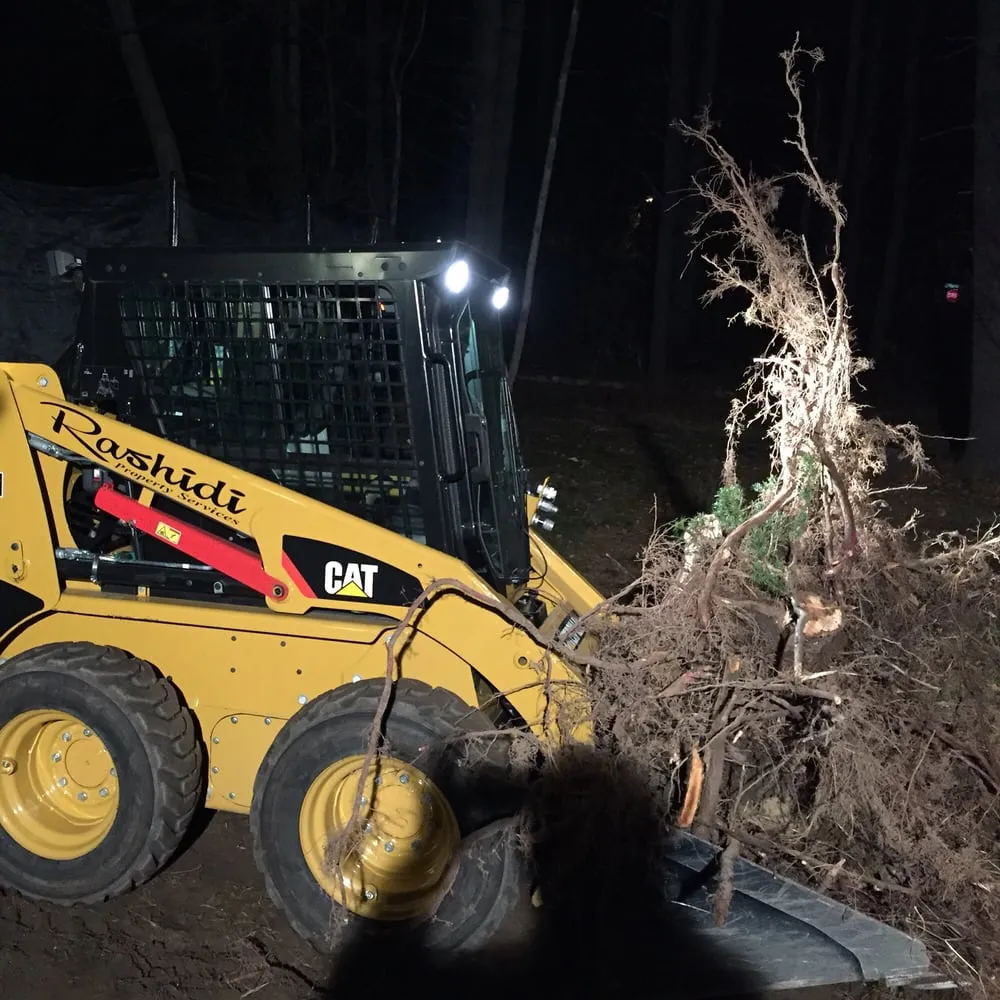 Affordable residential landscaping for beautiful yards in Lexington, MA by Rashidi Property Services