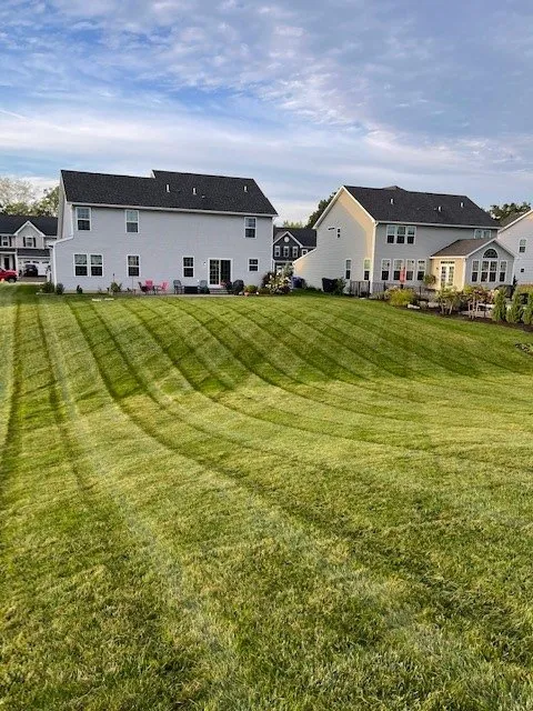 Top-rated yard maintenance for year-round maintenance across Penfield, NY - Raspante Enterprise