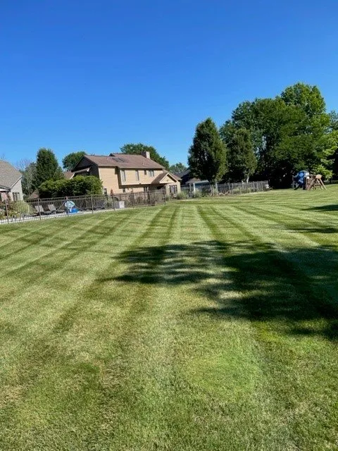 Trusted yard cleanup service in Penfield, NY - Raspante Enterprise