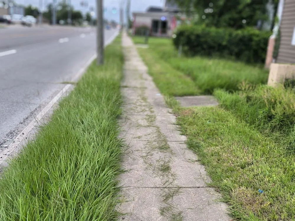 Professional landscape installation for homes in Lake Charles, LA by Rasta”s Renovations