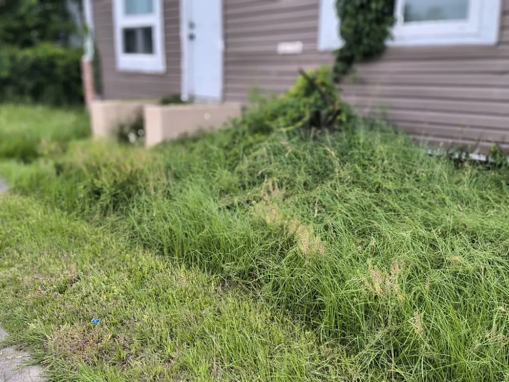 Top-rated landscape installation for outdoor upgrades across Lake Charles, LA - Rasta”s Renovations