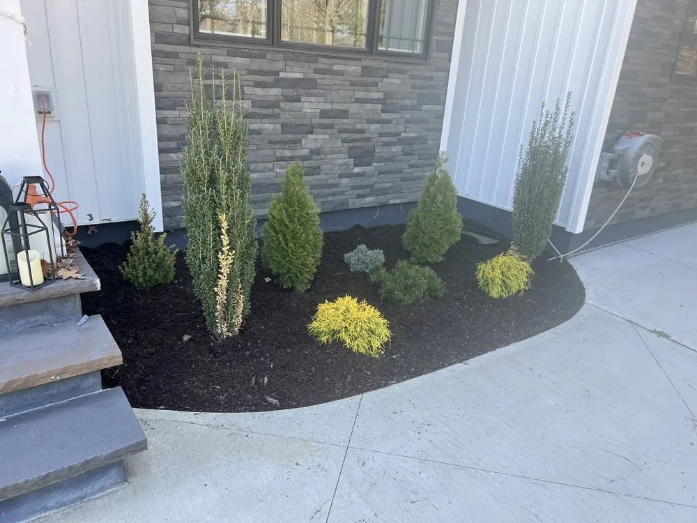 Affordable yard cleanup service in Oceanside, NY - Rath Arborist Services