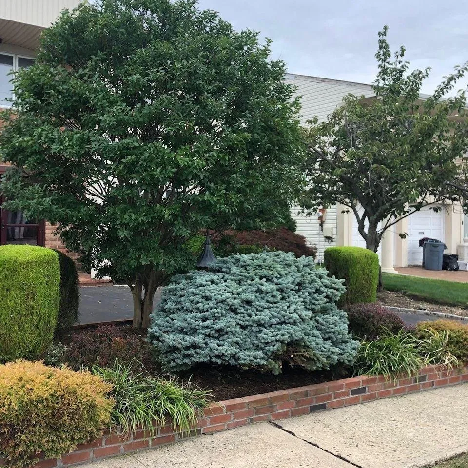 Professional landscape design near you across Oceanside, NY - Rath Arborist Services