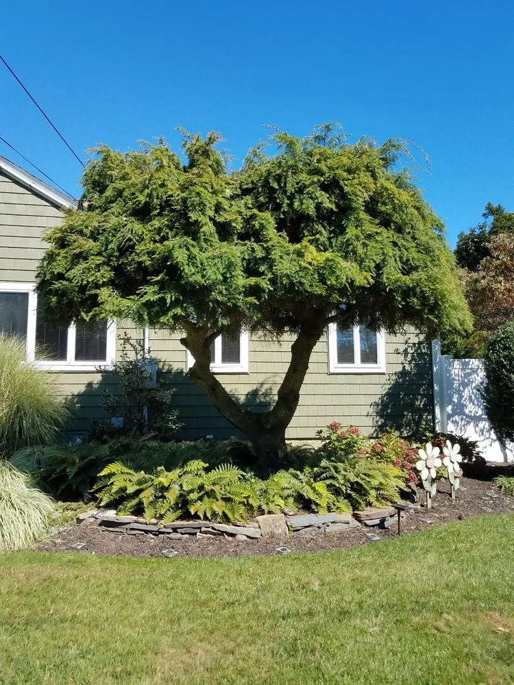 Trusted landscape design experts serving Oceanside, NY - Rath Arborist Services