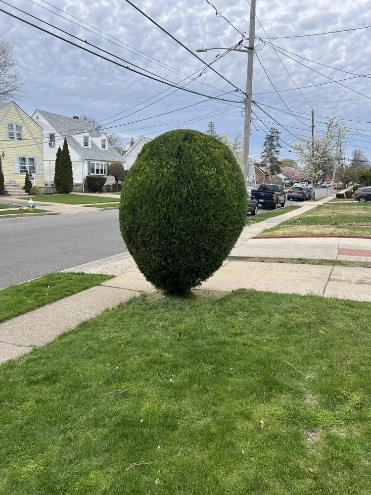 Top-rated landscape design experts serving Oceanside, NY - Rath Arborist Services