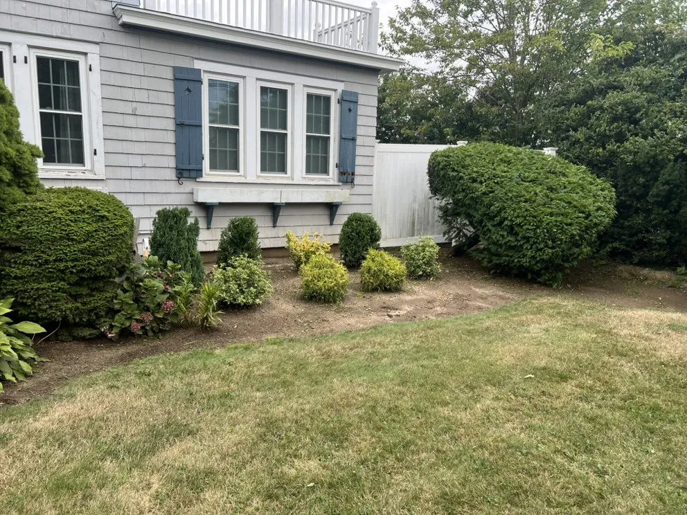 Reliable yard cleanup service experts serving Oceanside, NY - Rath Arborist Services