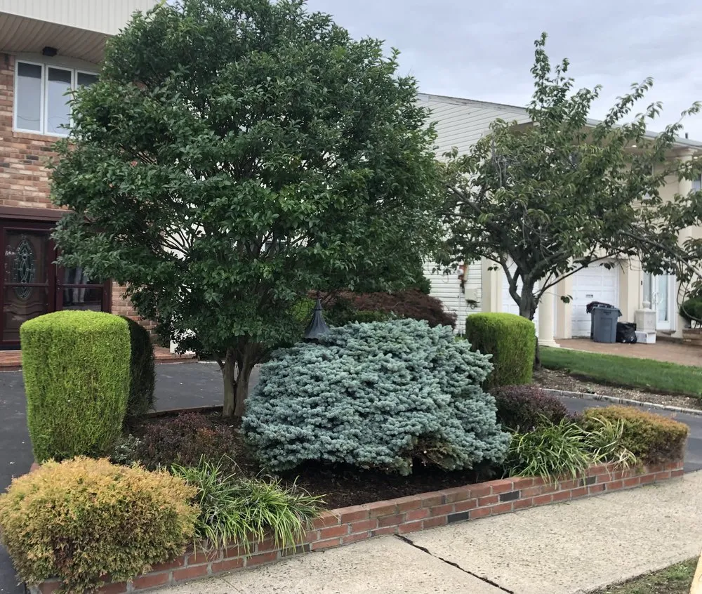 Trusted yard cleanup service in Oceanside, NY - Rath Arborist Services