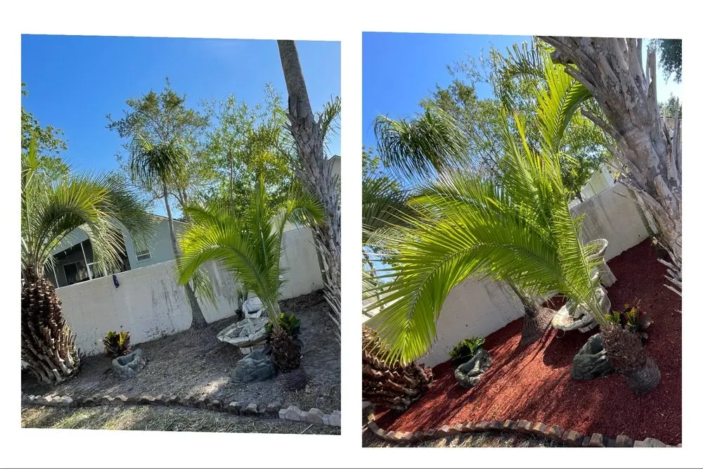 Expert garden landscaping with custom design across Tampa Bay, FL - Rathwell Environmental Solutions