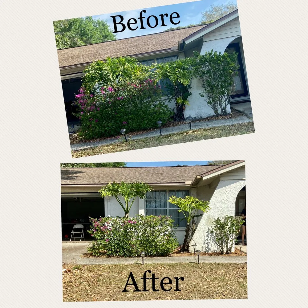 Trusted landscape installation in Tampa Bay, FL - Rathwell Environmental Solutions