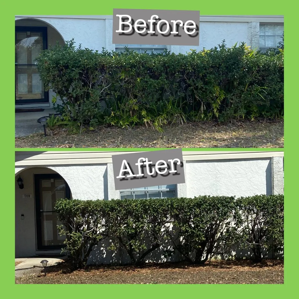 Affordable outdoor landscaping in Brandon, FL by Rathwell Lawn Care And Landscaping