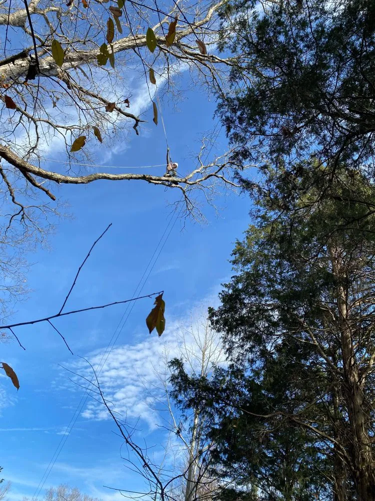 Local garden landscaping in Georgetown, KY by Ratliff Brothers Tree Experts