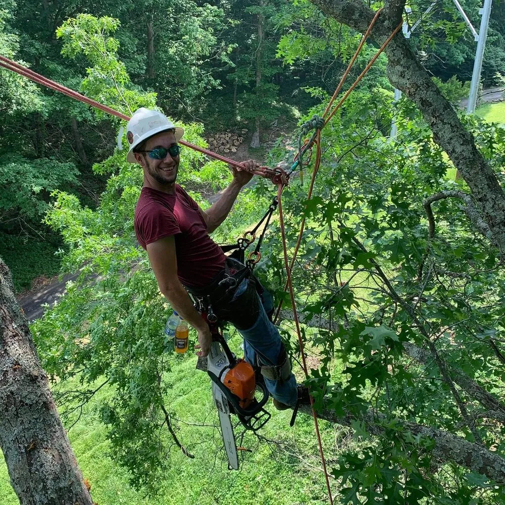 Professional landscape installation for outdoor upgrades in Georgetown, KY by Ratliff Brothers Tree Experts